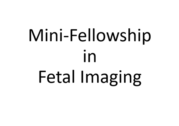 Mini Fellowship in Fetal Imaging-Online
