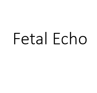 Mastering Fetal Echo Course